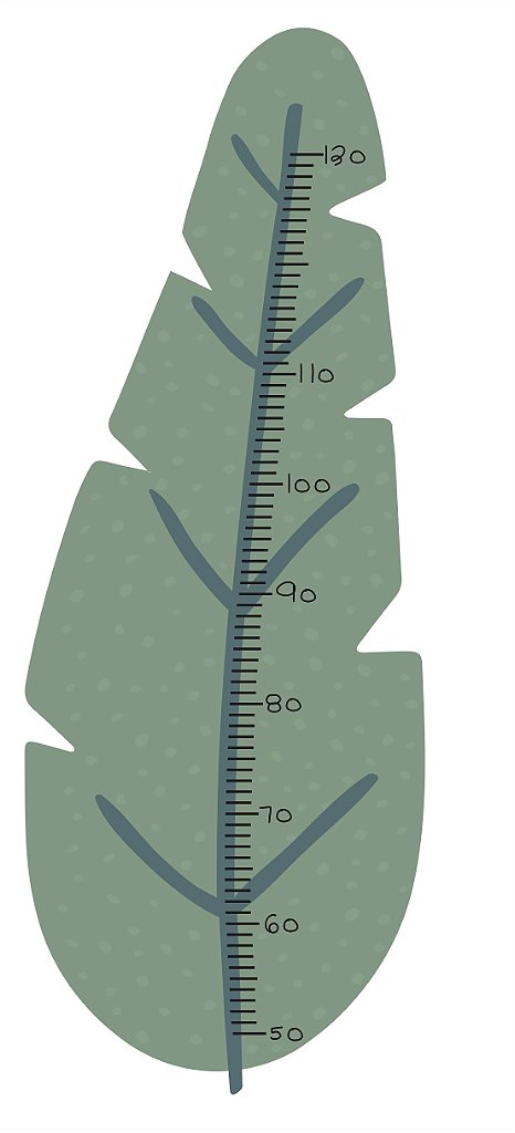 Régua de Crescimento Folha