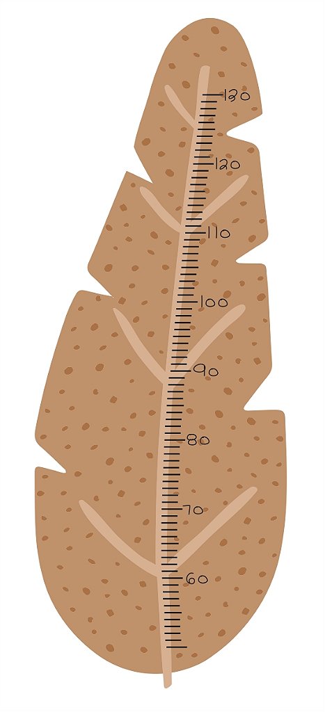 Régua de Crescimento Folha