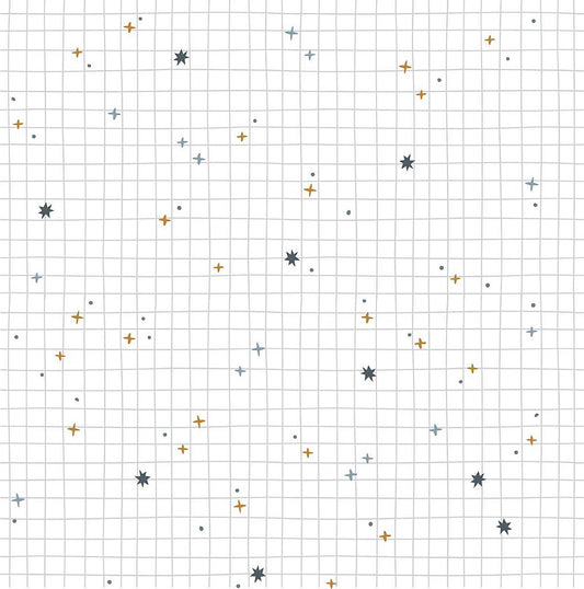 Papel de Parede Noite Estrelada
