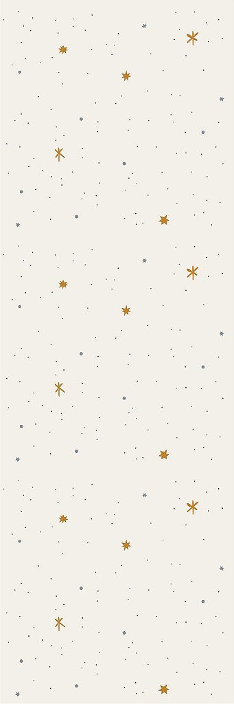 Papel de Parede Céu Estrelado Mini